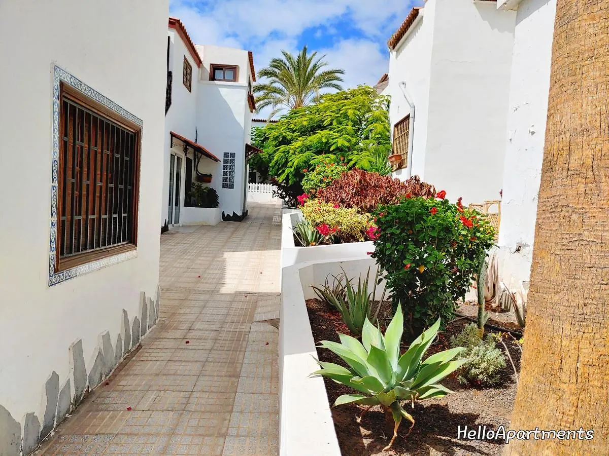Apartment Casa Diana By Helloapartments Costa Del Silencio Spanien